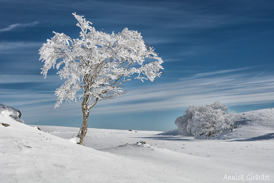 Bienvenue sur le site de la commune de Nasbinals Commune de Nasbinals